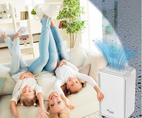 Контроль вологості та іонізація повітря – правильне рішення для комфорту та здоров'я в будинку