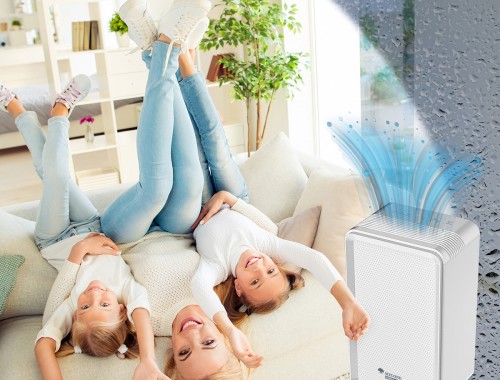 Контроль влажности и ионизация воздуха — верное решение для комфорта и здоровья в доме