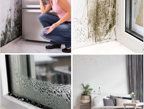 Конденсат на вікнах