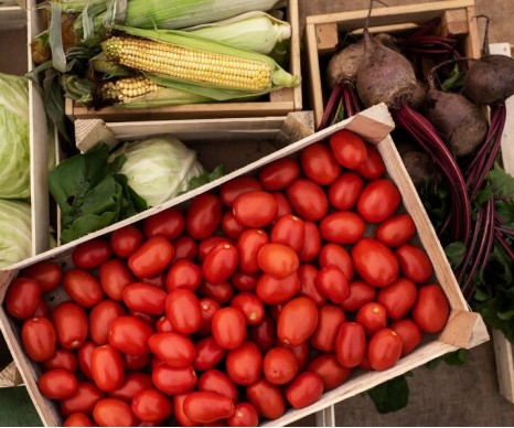 Як висушити вологий льох від вогкості