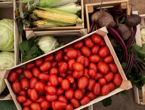 Как высушить влажный погреб от сырости